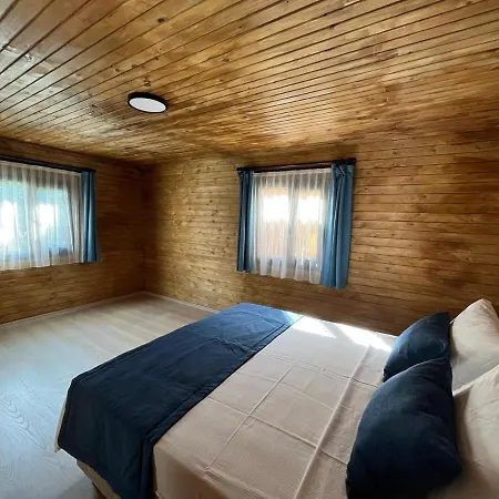 아파트 The Halcyon