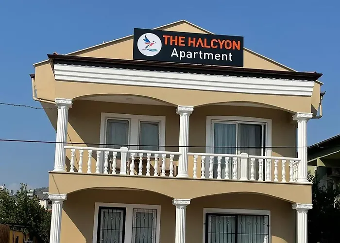 The Halcyon
